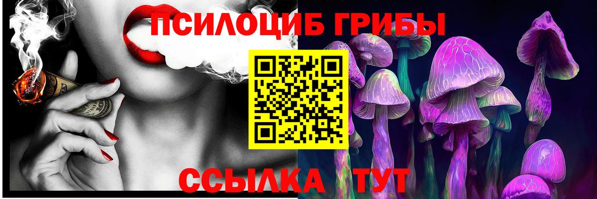Галлюциногенные грибы прущие грибы  Галлюциногенные грибы GOLDEN TEACHER  Вход с VPN  Красный Сулин 